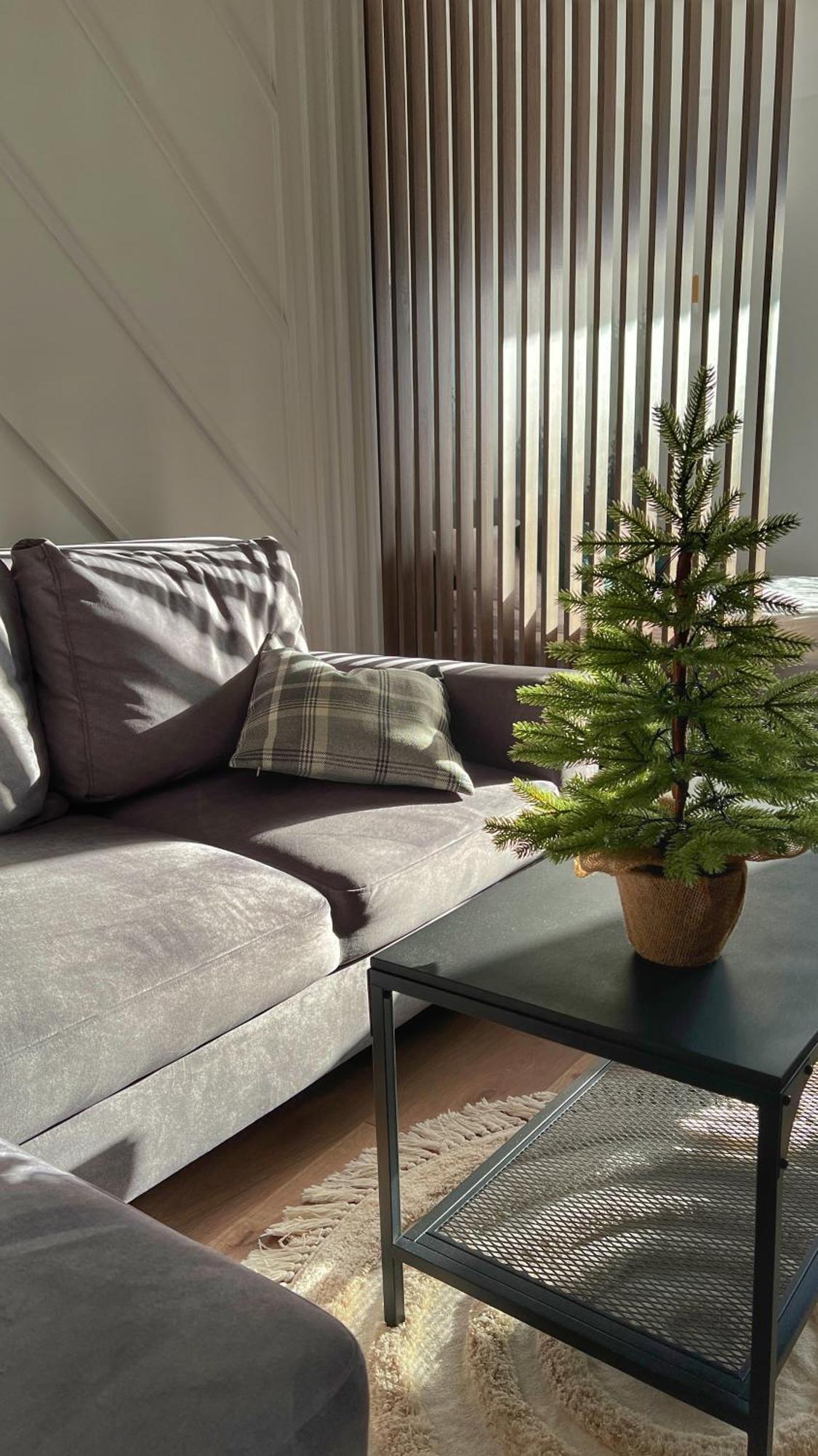 Gojka Apartamento