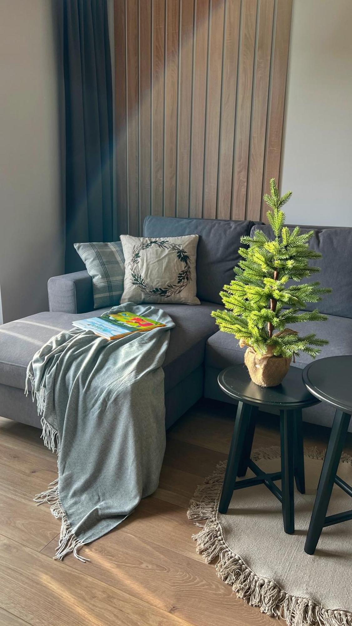 Apartment Gojka